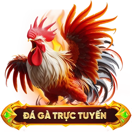 đá gà trực tuyến E2BET